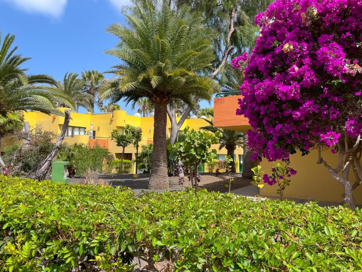 Apartament Casa Bella By Holidays Fuerteventura